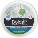 Boldair The Vert/Aloe Vera  thumbnail
